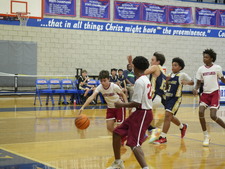 Enlarge photo 479