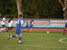 Enlarge photo 57