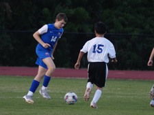 Enlarge photo 113