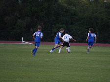 Enlarge photo 115