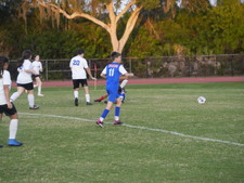 Enlarge photo 201