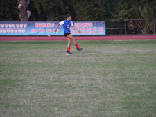 Enlarge photo 219