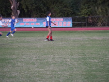 Enlarge photo 227
