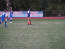 Enlarge photo 228