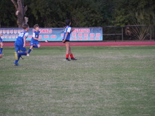 Enlarge photo 229