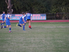 Enlarge photo 231