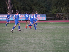 Enlarge photo 233