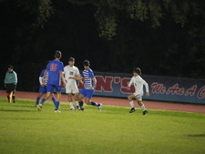 Enlarge photo 310