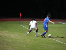 Enlarge photo 280