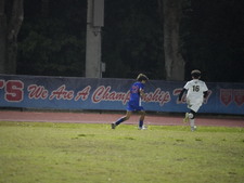 Enlarge photo 531