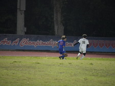 Enlarge photo 535