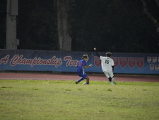 Enlarge photo 537