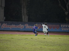 Enlarge photo 538