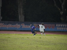 Enlarge photo 539