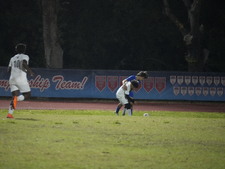 Enlarge photo 545