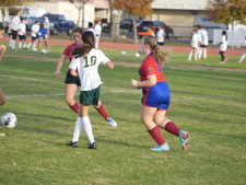 Enlarge photo 43