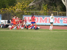 Enlarge photo 54