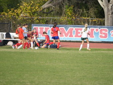 Enlarge photo 55
