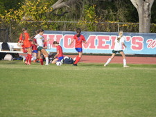 Enlarge photo 56