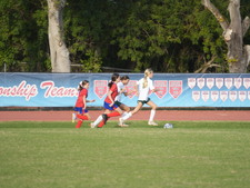 Enlarge photo 61