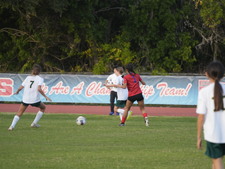 Enlarge photo 88