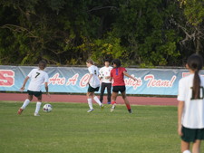 Enlarge photo 90