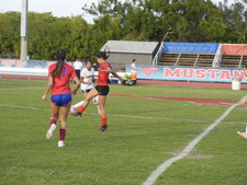 Enlarge photo 119