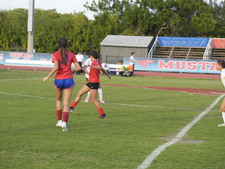 Enlarge photo 120