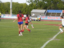 Enlarge photo 121