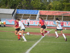 Enlarge photo 129
