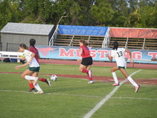 Enlarge photo 132