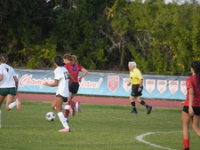 Enlarge photo 135