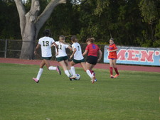 Enlarge photo 141
