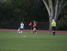 Enlarge photo 146