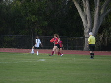 Enlarge photo 147