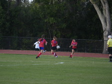 Enlarge photo 151