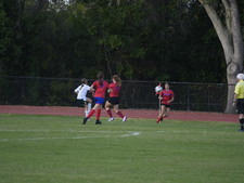 Enlarge photo 153