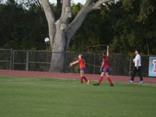 Enlarge photo 152