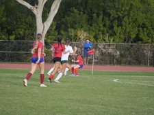 Enlarge photo 166