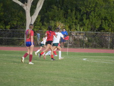 Enlarge photo 168