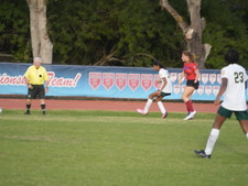 Enlarge photo 174