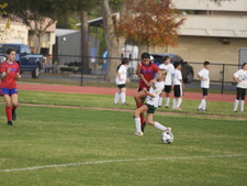 Enlarge photo 233