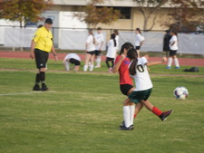 Enlarge photo 240
