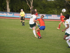 Enlarge photo 268