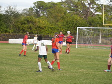 Enlarge photo 312