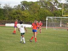 Enlarge photo 313