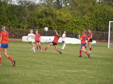 Enlarge photo 323