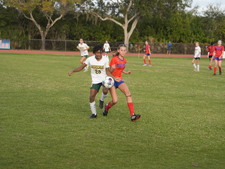 Enlarge photo 334