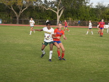 Enlarge photo 336