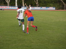 Enlarge photo 353